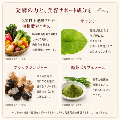 発酵美人茶漬け